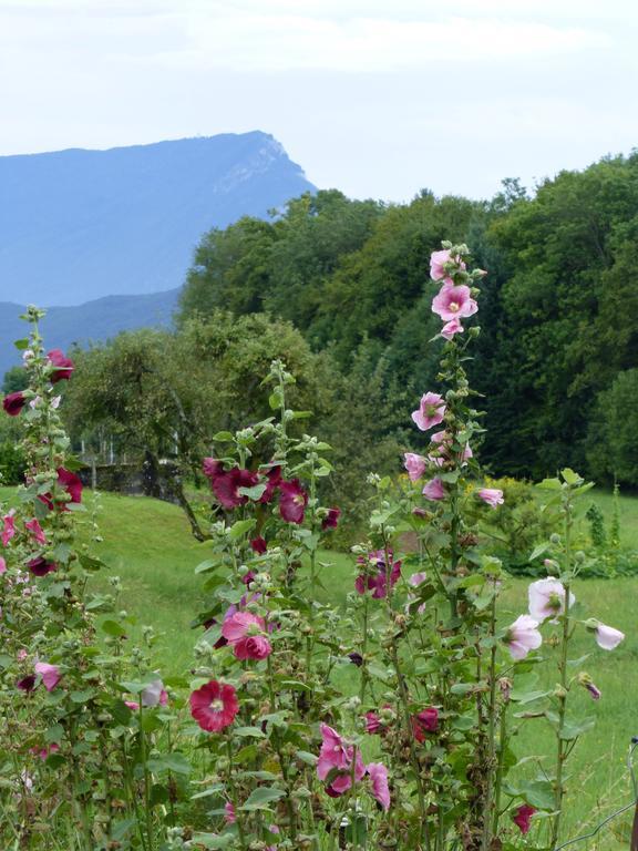 Au Coeur De La Campagne - Gite Non Loins D'Annecy- A 17 Min D'Annecy - Tout Pret D'Aix Les Bains Saint-Girod Bagian luar foto